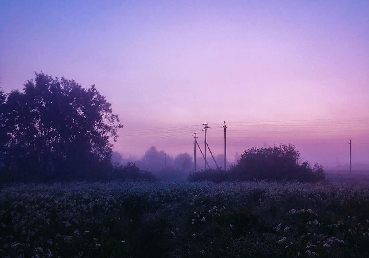 Photogallery X3 Nginx 伪静态