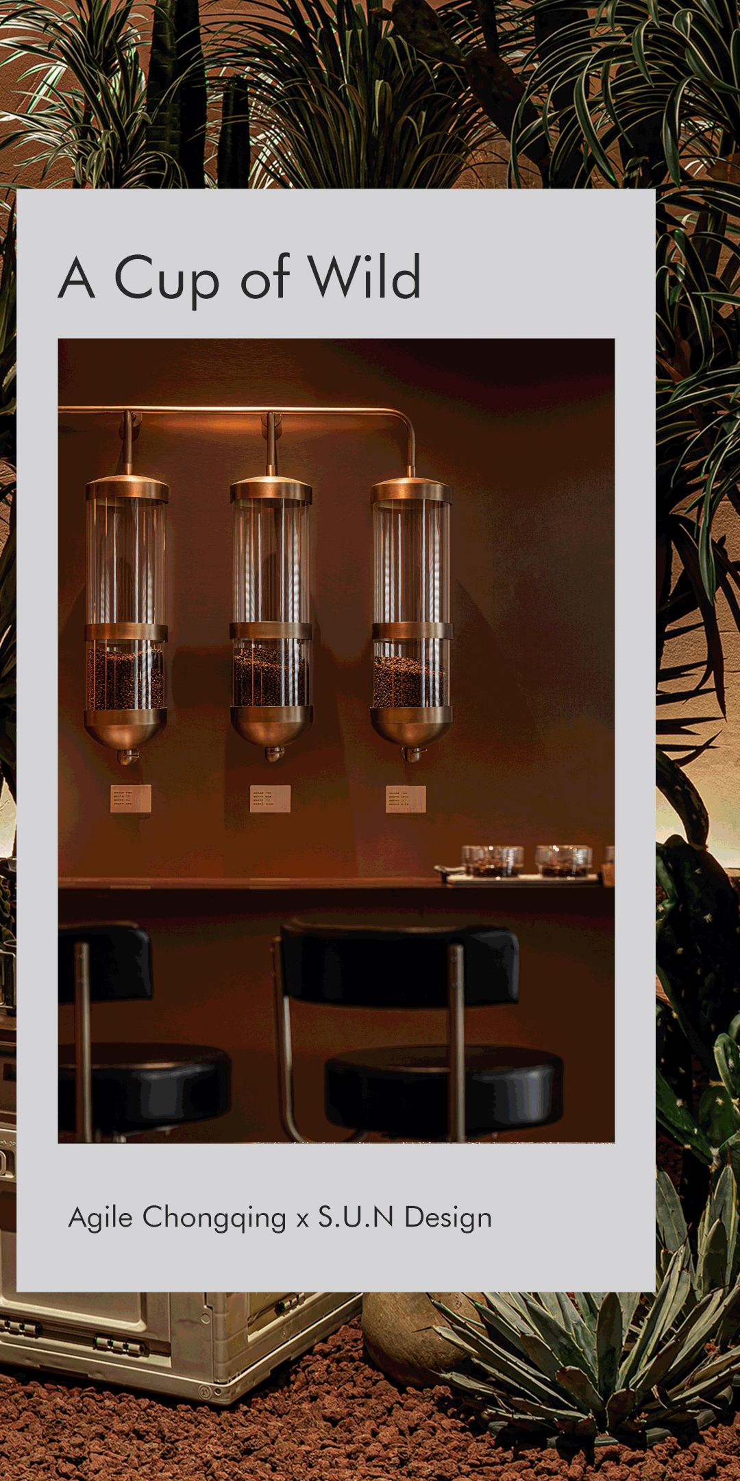 雅居乐 | 城市客厅中的一片沙漠绿洲