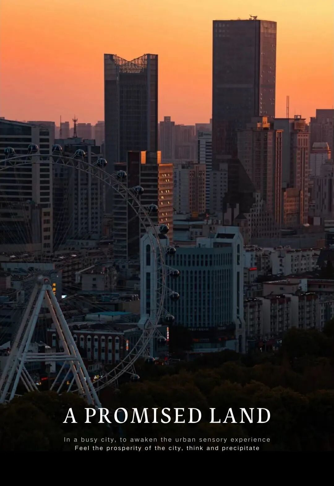 安徽置地 | 栢悦书香:物象之外,愿许之境